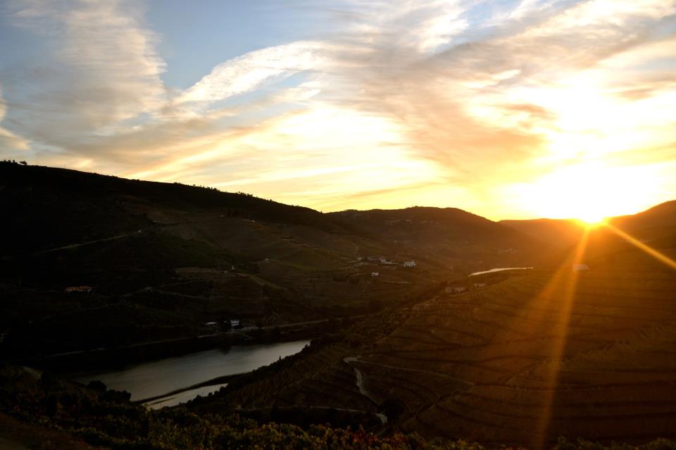 Quinta Nova, Ferrão; Oporto, Porto, Portugal.