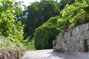 Clos Montmartre Paris Vineyard Wine