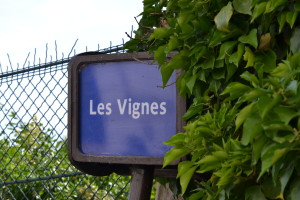 Les Vinges Paris Vineyard Close Montmartre