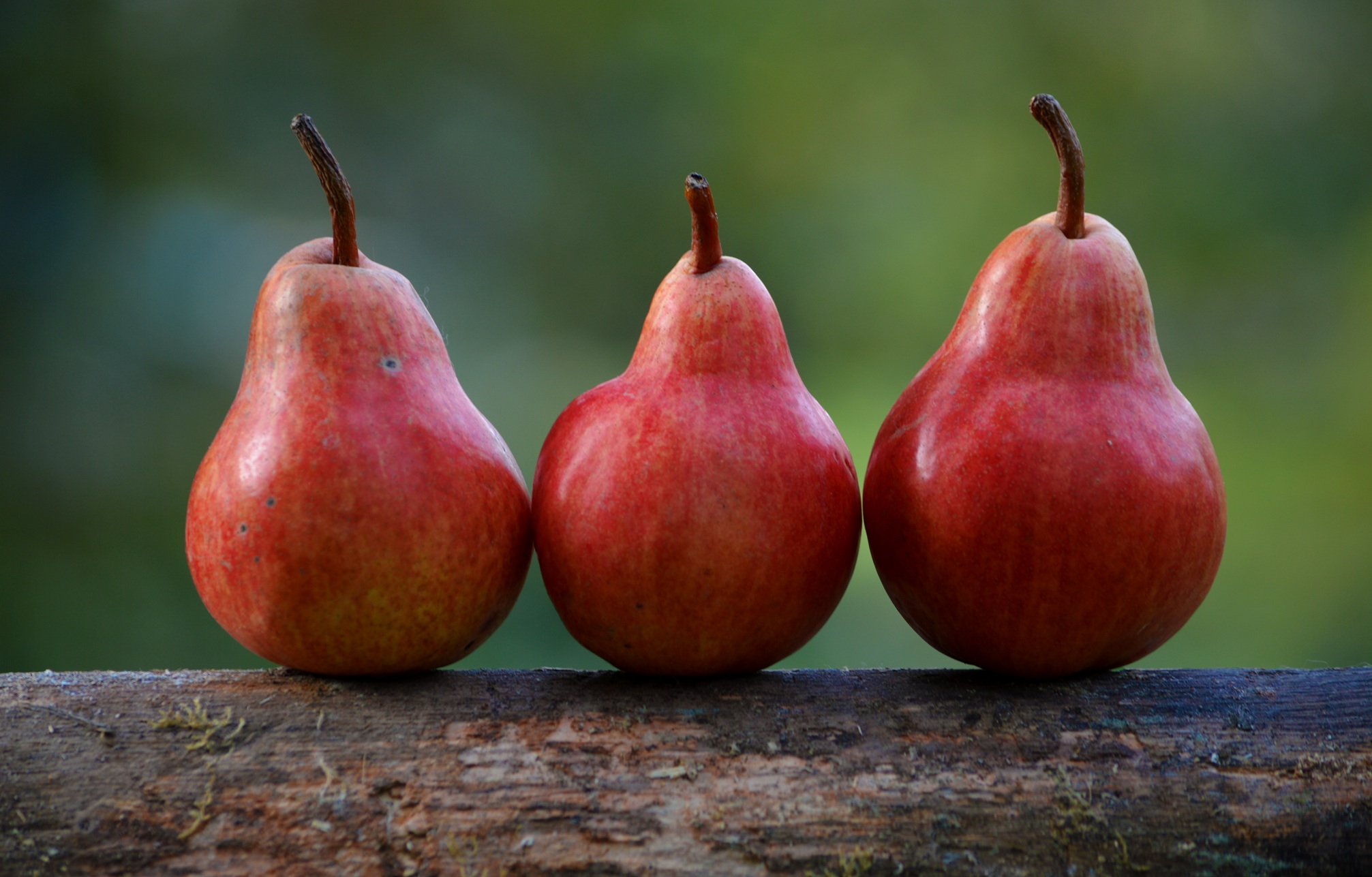TTB federal definition cider pear apple
