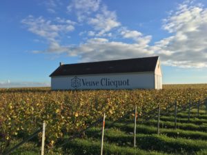 reims wine law program france champagne veuve cliquot